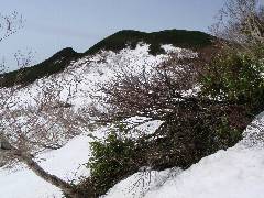 正面に目的の山への行く手を阻む雪から露出している樹木の写真