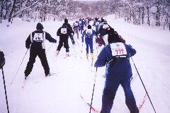 直線の坂道を二列に並んで登っているスキーマラソンの選手の写真