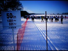 スキーマラソン50km競技のスタートライン後ろの選手集合場所の写真