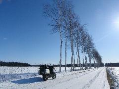 冬の白銀がまぶしい十勝晴れの青空に映える白樺防風林とバイクの写真