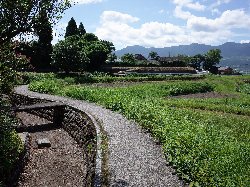 水の無い水路と放棄された水田の写真