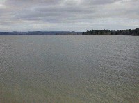 茶色くにごった水が一面を覆うモノトーンの湖の写真