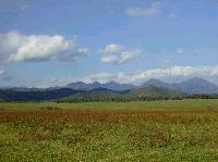 北海道らしい遠くに山々を望む広い広い草原の写真