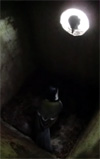巣箱に入ったシジュウカラが、外から巣穴を覗いているシジュウカラに、中においでと呼んでいる写真