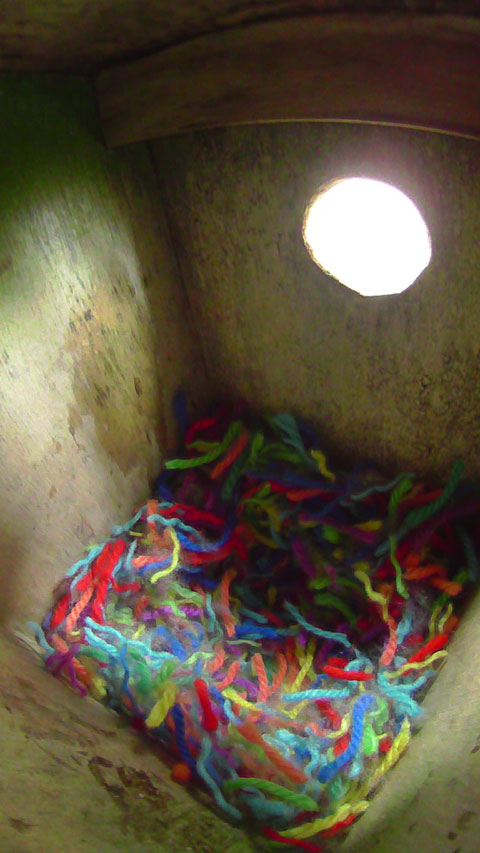 夜間撮影モードで撮影したニジの巣箱内部の写真