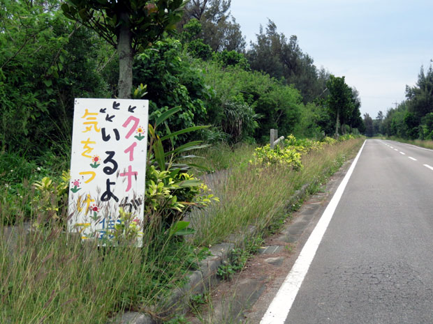 「クイナがいるよ気をつけて」と道路脇に立てられたクイナの注意看板の写真