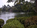兼六園の大きな池と手入れの行き届いた周りの木々の写真