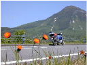 北海道は地の果て知床にある羅臼岳をバックに道端に咲くみかん色の小さな花達の写真