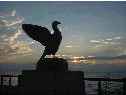 琵琶湖畔にて夕日に羽ばたく水鳥のオブジェ