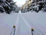 札幌の町並みに向かって、スキーマラソンの下りのコースを滑り降りている写真。滑りながら地上３０センチの位置から撮影しているためスピード感の有る写真