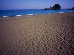 海亀の産卵される場所として保護されて、ちり一つ無い掃除の行き届いた美しい砂浜の写真