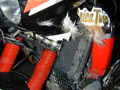 ホンダ技研工業のアフリカツインという大型バイクでエゾシカに衝突してまった事故の時のエゾシカの毛が沢山残されているバイクの壊れた部分の写真