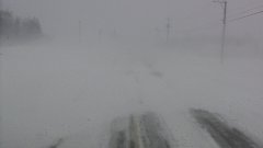 道路左の森の間の畑から地吹雪が吹きつけて視界を妨げている写真