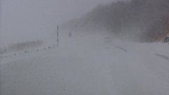 地吹雪で視界の悪い中ライトも点けずに吹雪と同化しながら向かってくる白い乗用車の写真