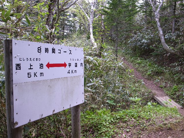 ̎ʐ^ɐi