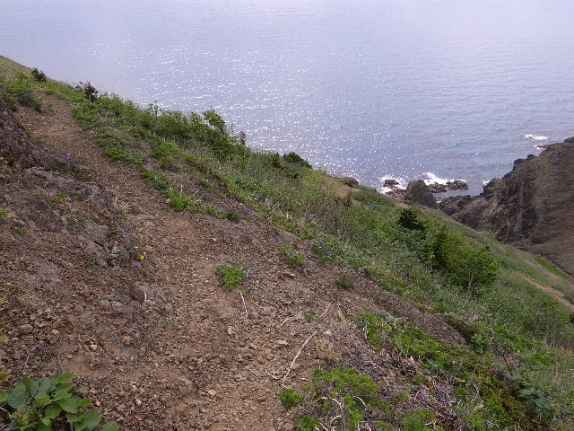 ̎ʐ^ɐi