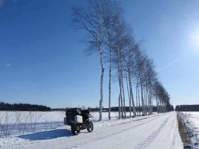 2009年正月冬の白銀がまぶしい十勝晴れの青空を真っ二つに切る白樺防風林と一直線圧雪路とバイクの写真