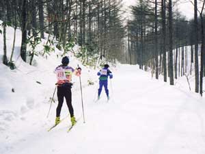 林間コースを滑走していく選手の写真