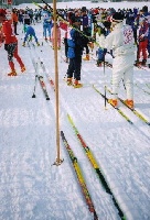 スタート地点に並んだ一本杖スキーの写真