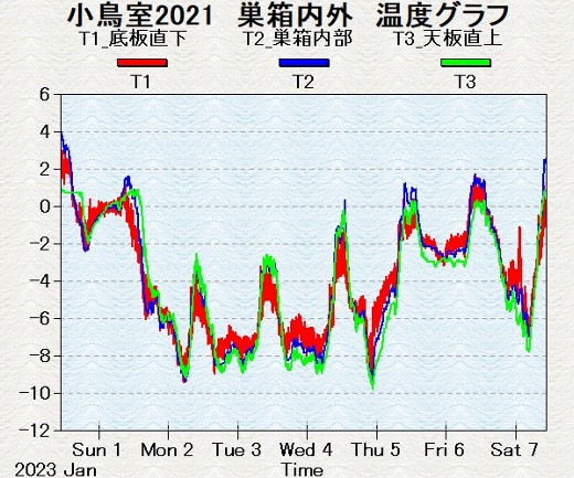 連日の真冬日が記録された温度グラフの写真