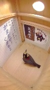 巣箱の床に降り立って熊本城復興城主募集ポスターを見ているヤマガラの写真