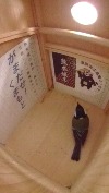 巣箱の床に降り立って熊本城復興城主募集ポスターを見て応募を検討しているシジュウカラの写真