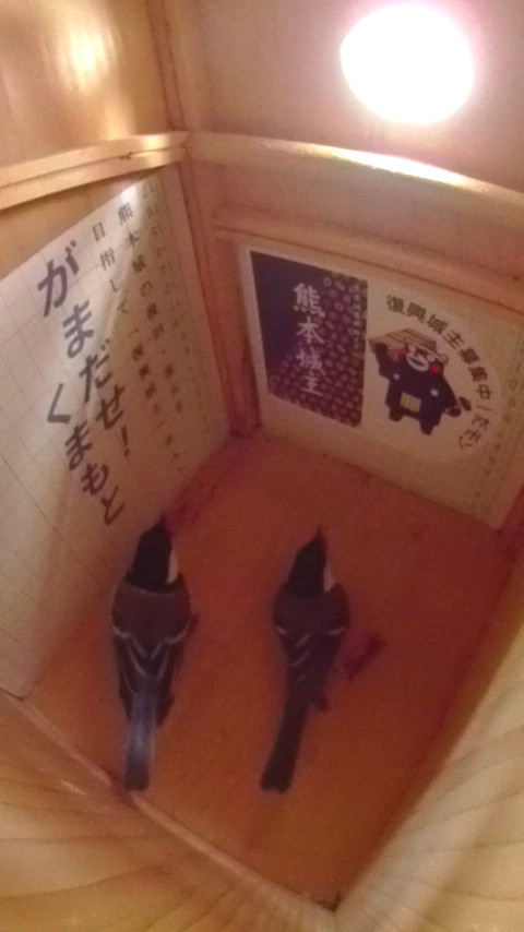 巣箱を内覧するシジュウカラ夫妻の写真