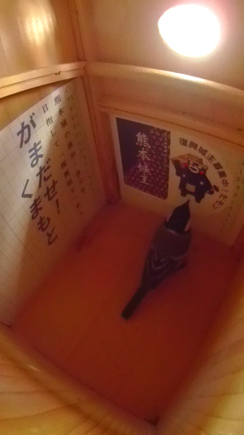 F{镜ɉVWEJ̎ʐ^