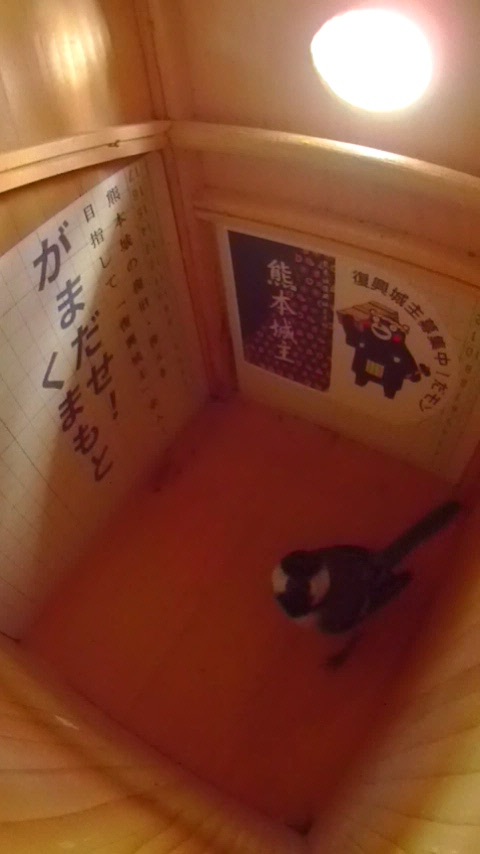 JCɂȂ茩グĂVWEJ̎ʐ^
