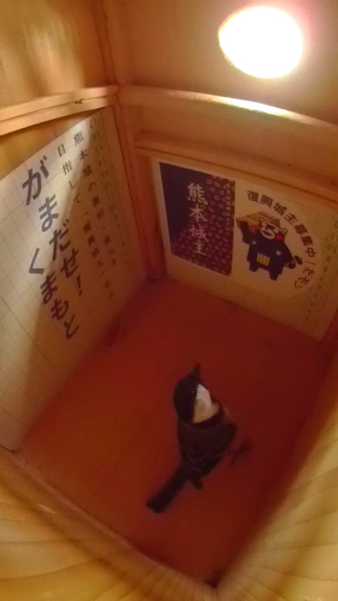 ̒ꂩǂ̑グĂVWEJ̎ʐ^