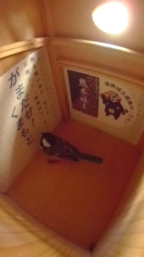 F{镜W̃|X^[グĂVWEJ̎ʐ^