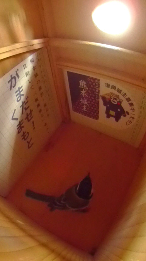 ̒ɍ~藧VWEJ̎ʐ^
