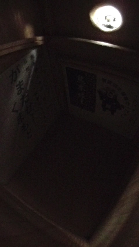 ɎȂđ`}K̎ʐ^