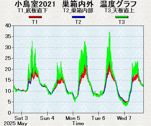 肵gxOt