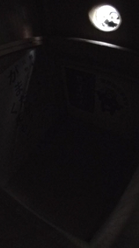 `}K̎ʐ^