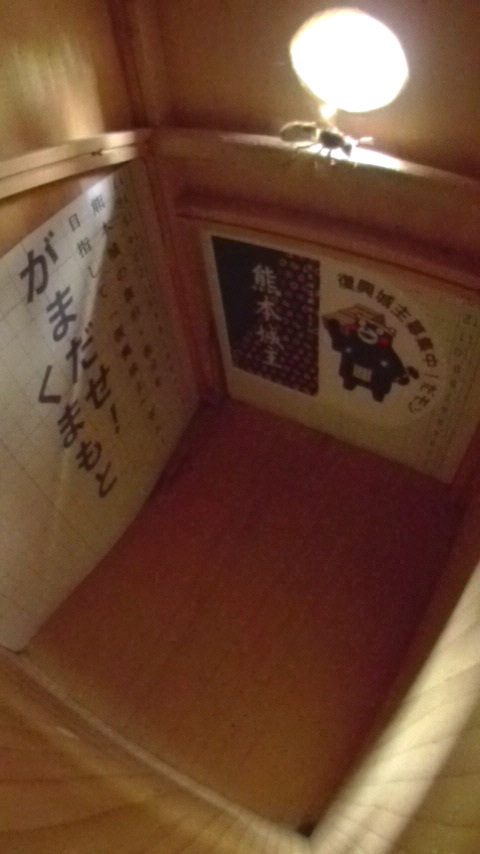巣箱を調べる大型のハチの写真