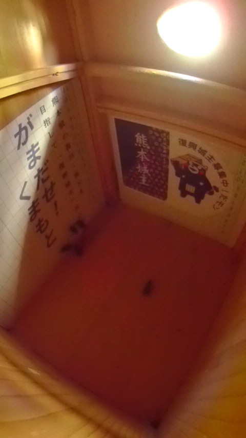 ̒Ŋn`B̎ʐ^