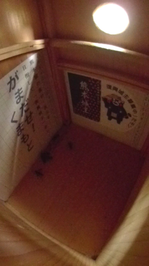 ̒ɍ~Ċ킹ĂVWEJvȂ̎ʐ^