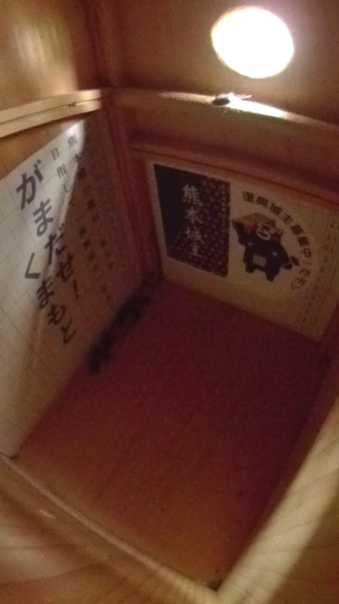 n`؍݂Ă鑃ɓJV̎ʐ^