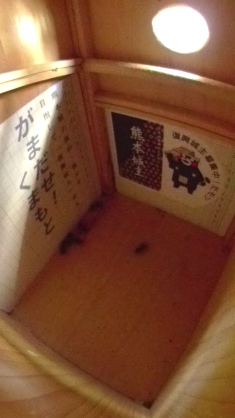 ̒ɑ؍݂Ă镡̃n`̎ʐ^