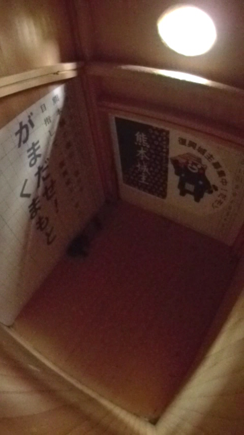 巣箱の底に集結している複数のハチの写真