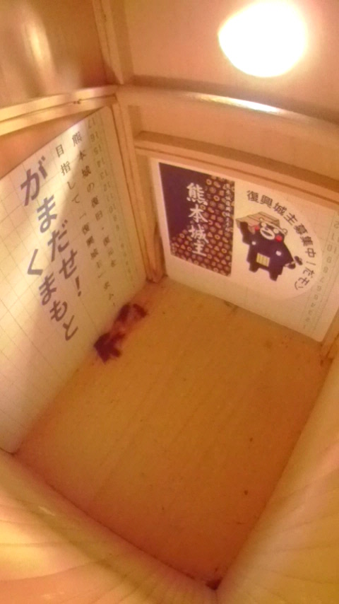 巣箱の底に集結している複数のハチの写真