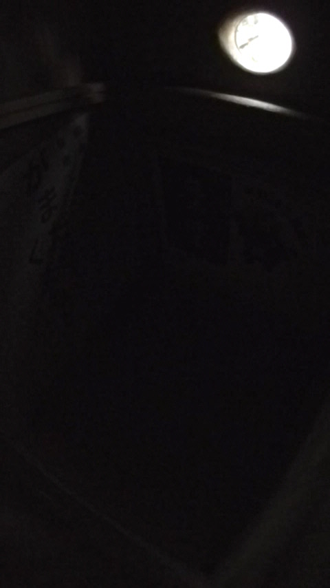 J_ɕđzɌՂÂȂ̎ʐ^