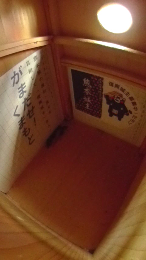 ̒ŏW܂ēȂn`Wc̎ʐ^