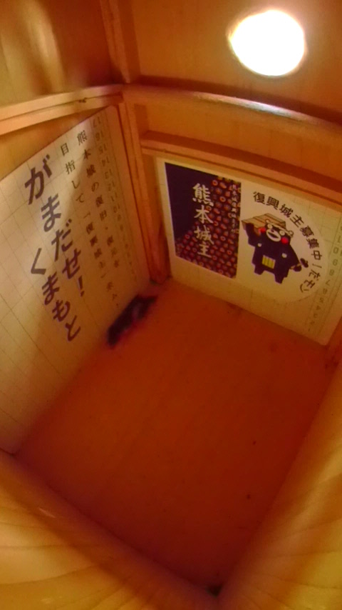 ̒ŏW܂ēȂn`Wc̎ʐ^