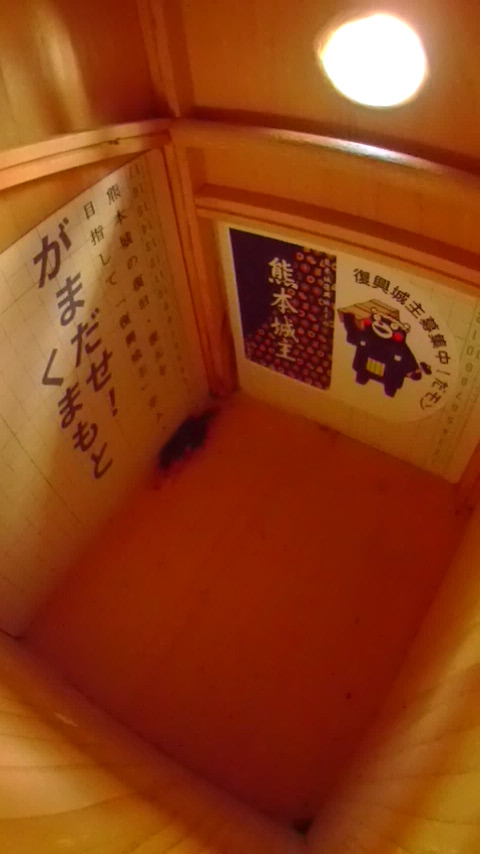 ̒ŏW܂ĔɓĂ邩ȂHn`Wc̎ʐ^