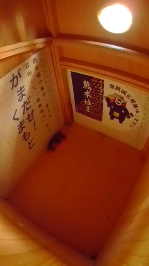 �����̒�ŏW�܂��ē����Ȃ��n�`�W�c�̎ʐ^