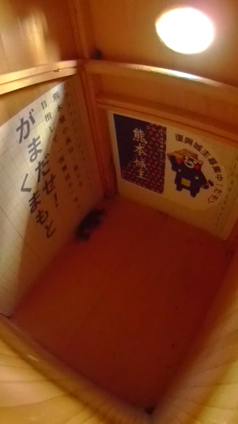 �����̒�ŏW�܂��ē����Ȃ��n�`�W�c�Ƒ����t�߂̑���Ɋ���o���Ă���J�����V�̎ʐ^