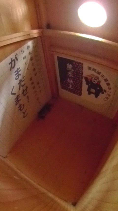 �����̒�ŏW�܂��ē����Ȃ��n�`�W�c�Ƒ����t�߂̑���Ɋ���o���Ă���J�����V�̎ʐ^