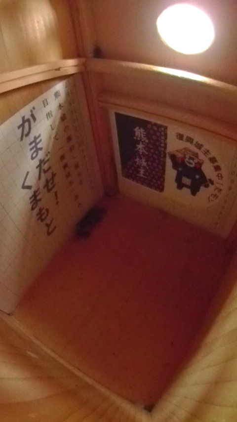 �����̒�ŏW�܂��ē����Ȃ��n�`�W�c�Ƒ����t�߂̑���Ɋ���o���Ă���J�����V�̎ʐ^